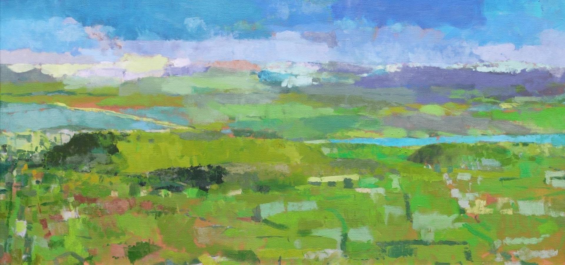 Robert Wiseman (1974) - Aerial View Ii; 2007