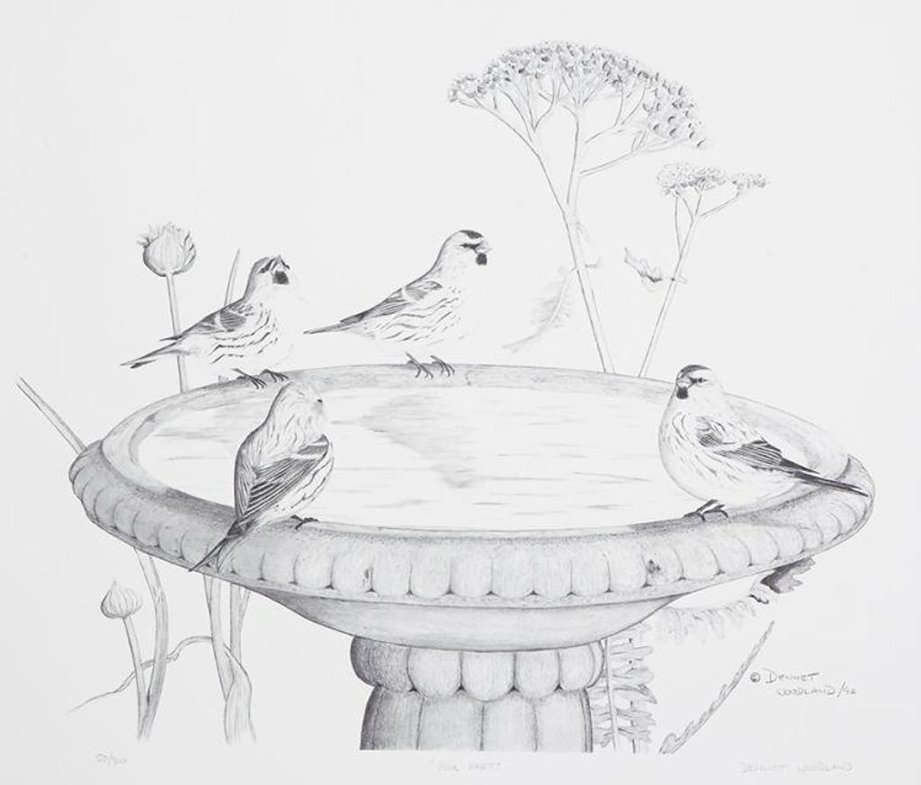 Dennet Woodland (1964) - Pool Party