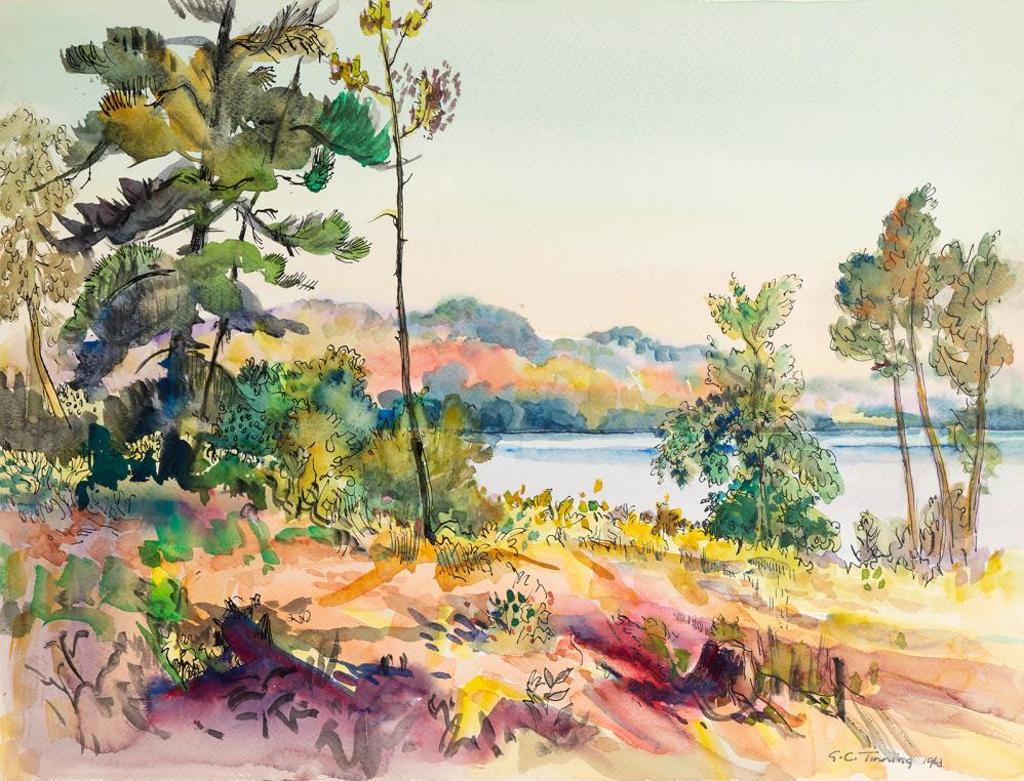 George Campbell (Cam) Tinning (1910-1996) - Untitled - Colourful Lakeside