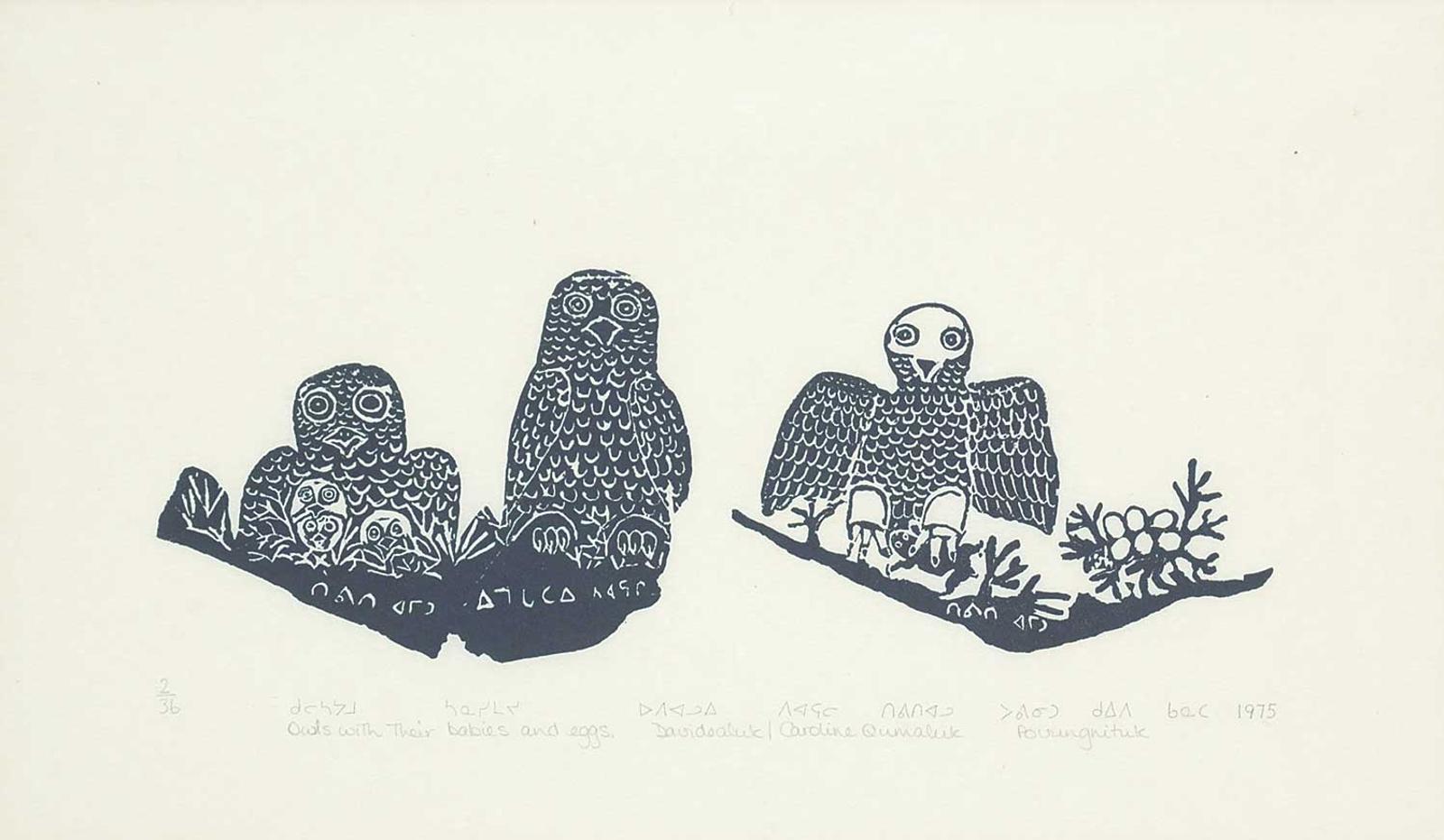 Davidialuk Alasua Amittu (1910-1976) - Owls with their Babies and Eggs #2/36