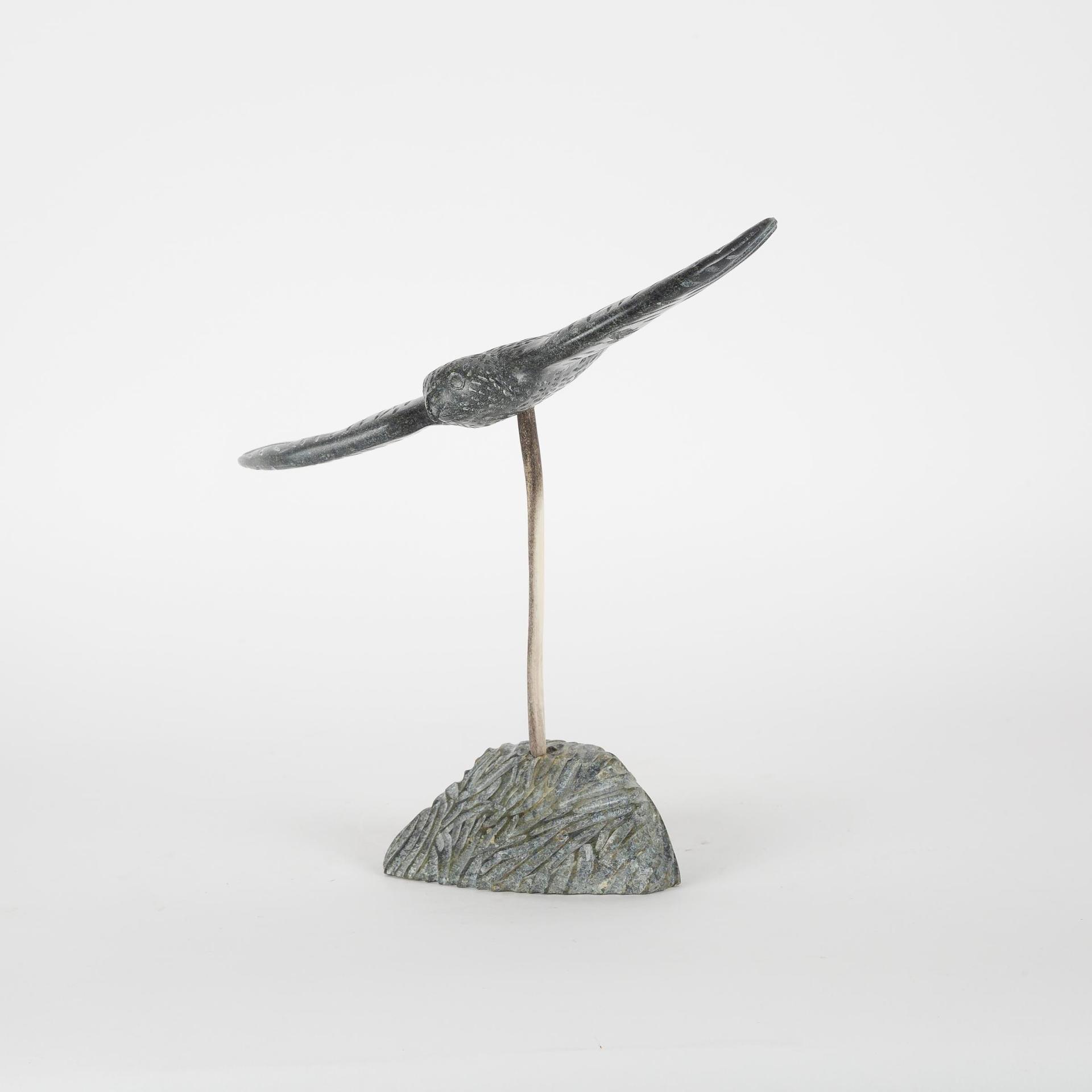 Paula Kenojuak - Falcon