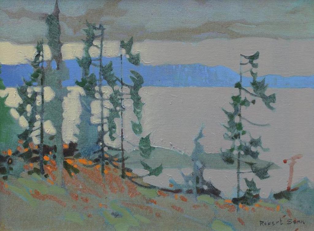 Robert Douglas Genn (1936-2014) - Sombre Aspect, Saturna Island