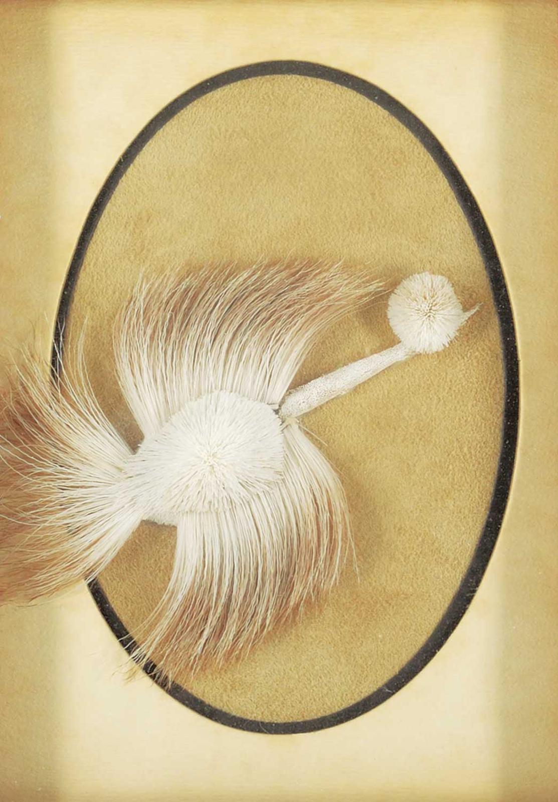 Myrtle DeMuelles - Untitled - Flying Bird