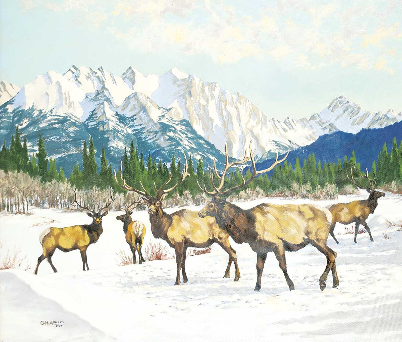 G.H.W. [Herb] Ashley - Elk in the Mountains [Winter]