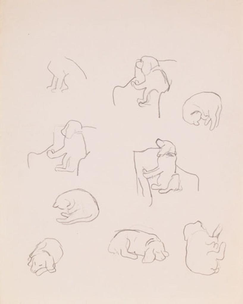 William Goodridge Roberts (1921-2001) - Dog and Cat Studies