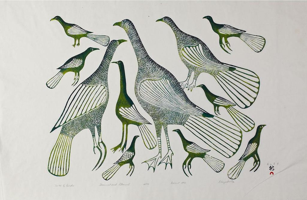 Eliyakota Samualie (1939-1987) - Field Of Birds