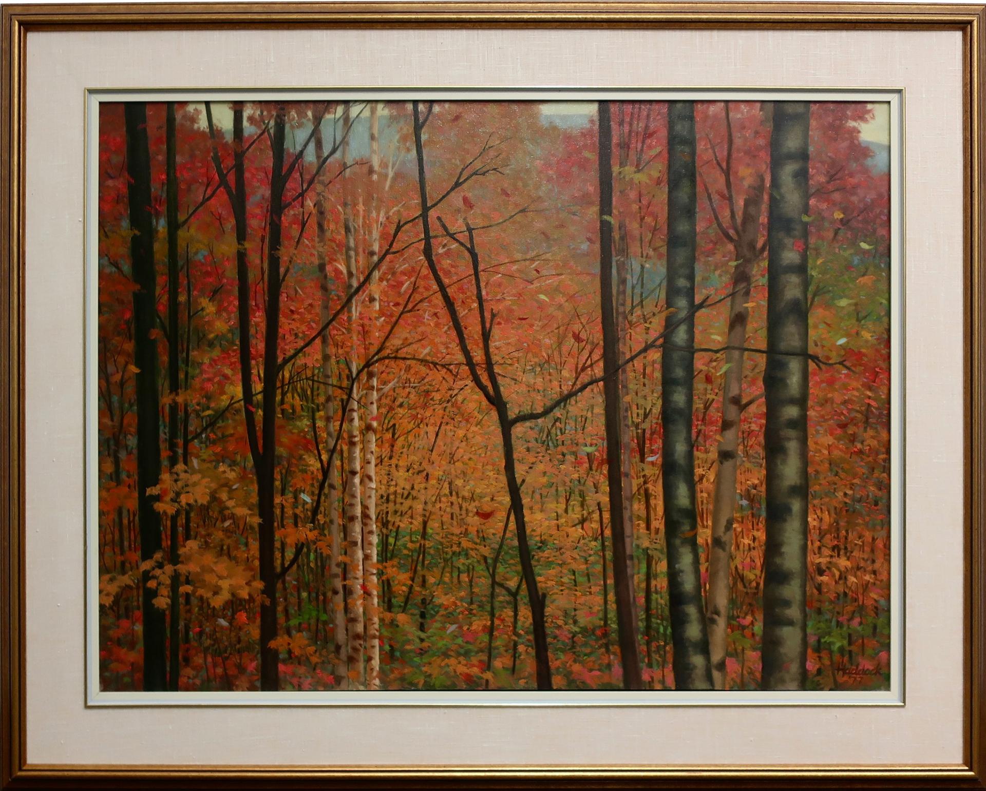 William Richard Haddock - Mountain Forest