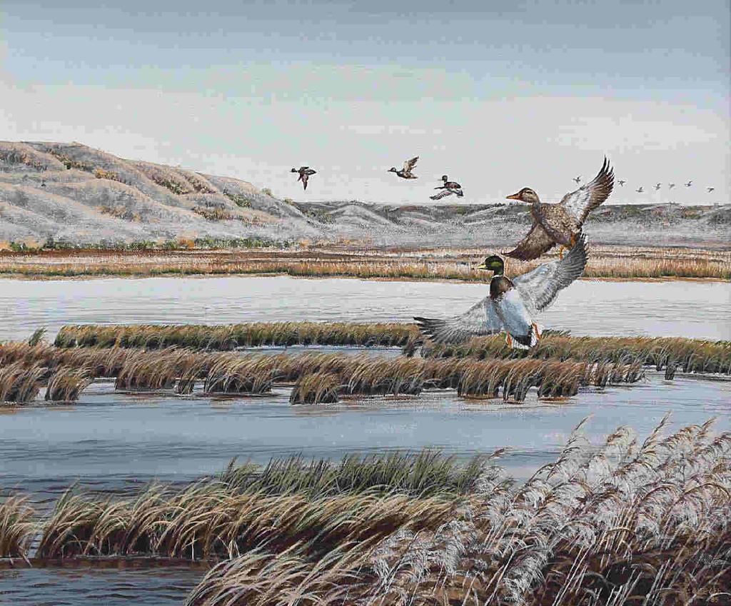 Wee Lee (1955) - Nicolle Flats, Changing Season, Mallards