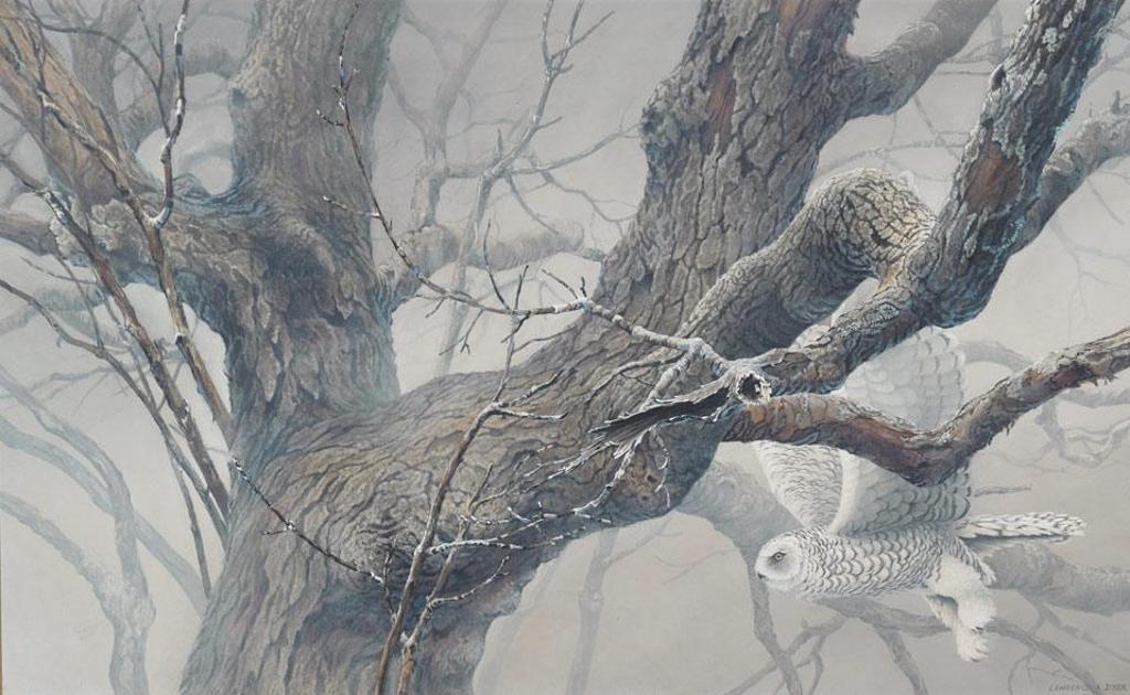 Lawrence A. Dyer (1949) - Owl In Flight