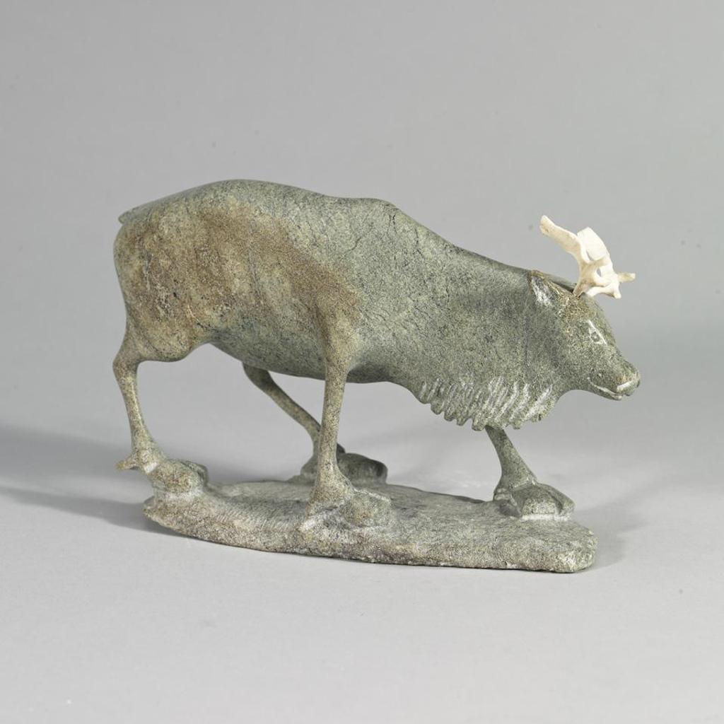 Pavinaq Petaulassie (1961) - Caribou On Base