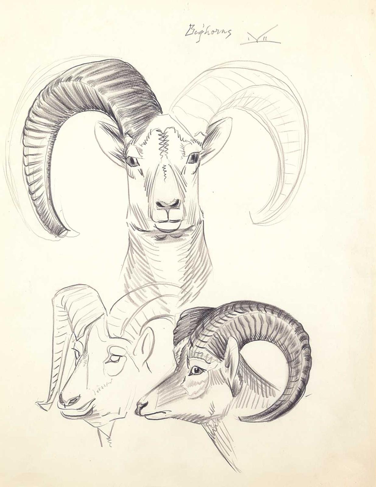 Illingworth Holey (Buck) Kerr (1905-1989) - Bighorns