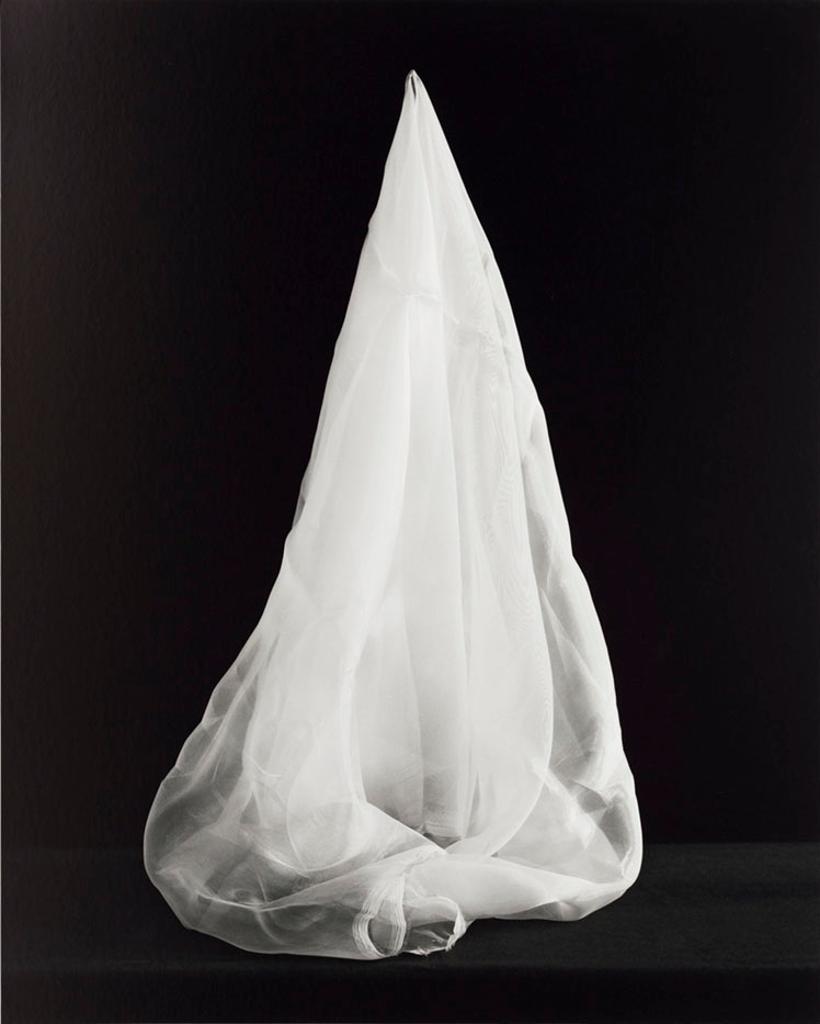 Birthe Piontek (1976) - Menagerie #3