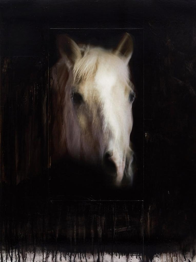 Andre Petterson (1950) - Toss