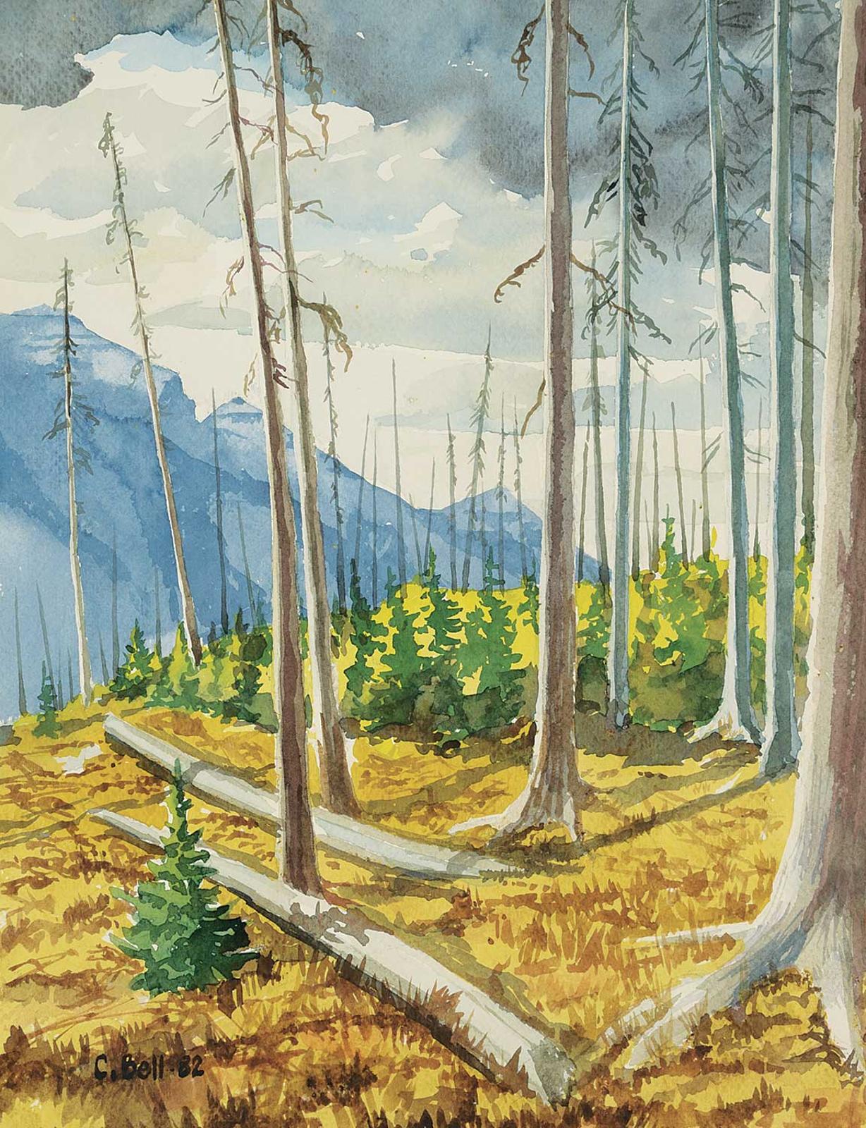 Colin Bell - Untitled - Top of the Pass