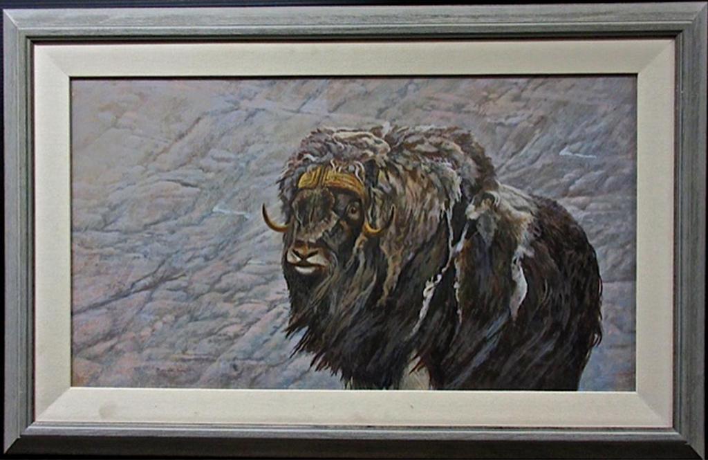 Brenda Carter (1943-2010) - Musk Ox