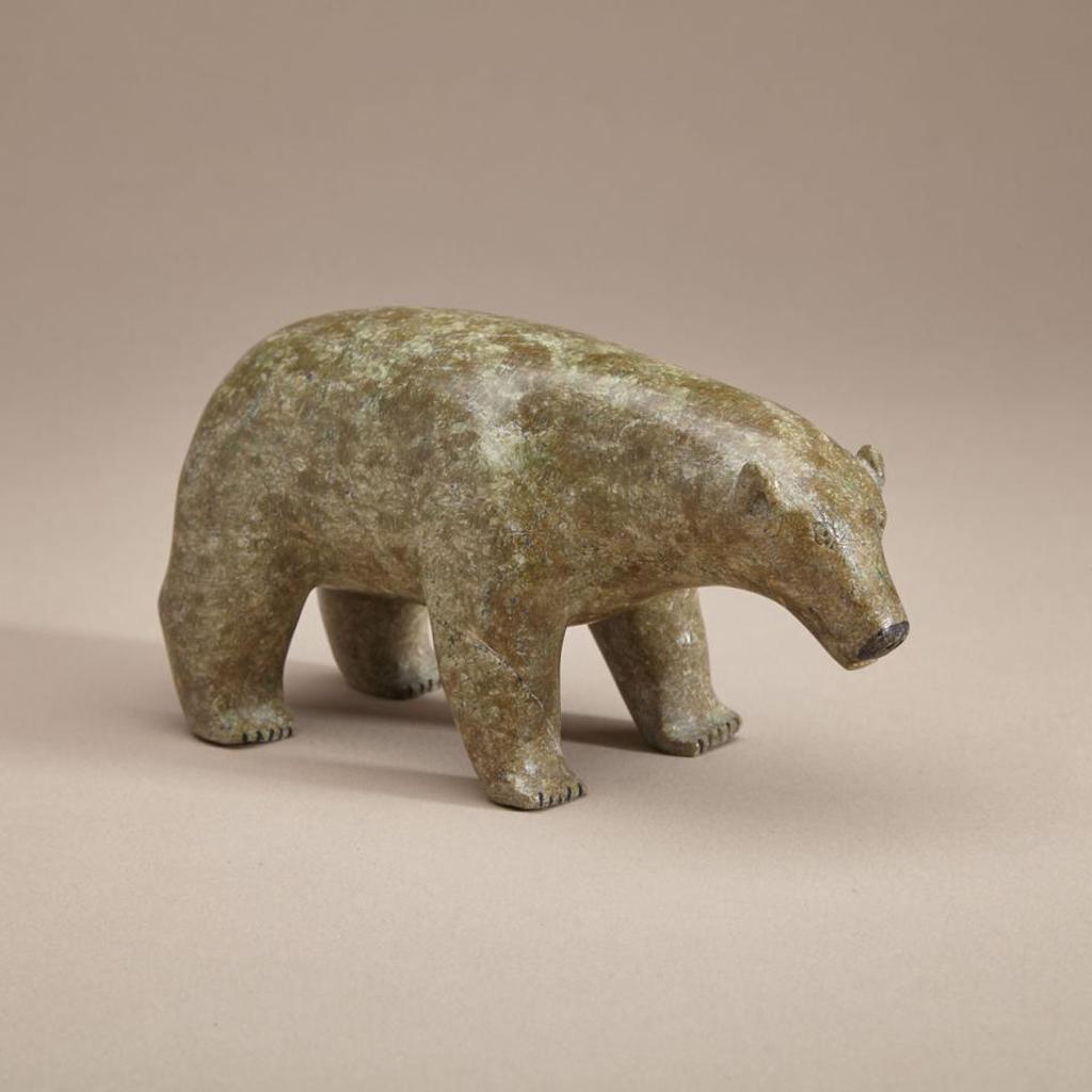 Omar - Standing Polar Bear