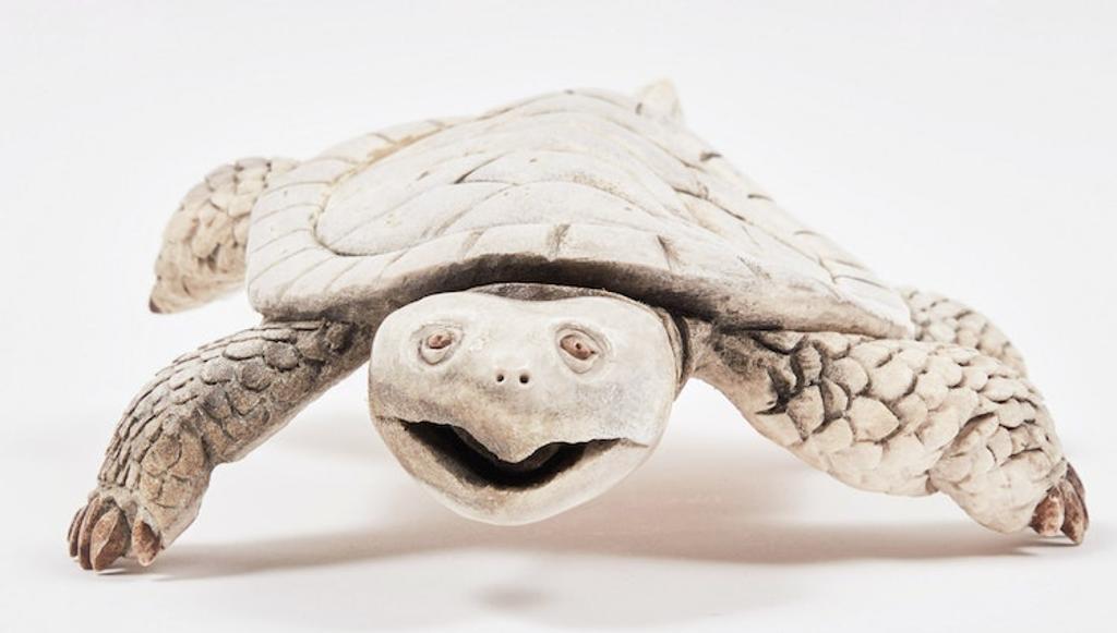 Vince Bomberry (1958) - Turtle
