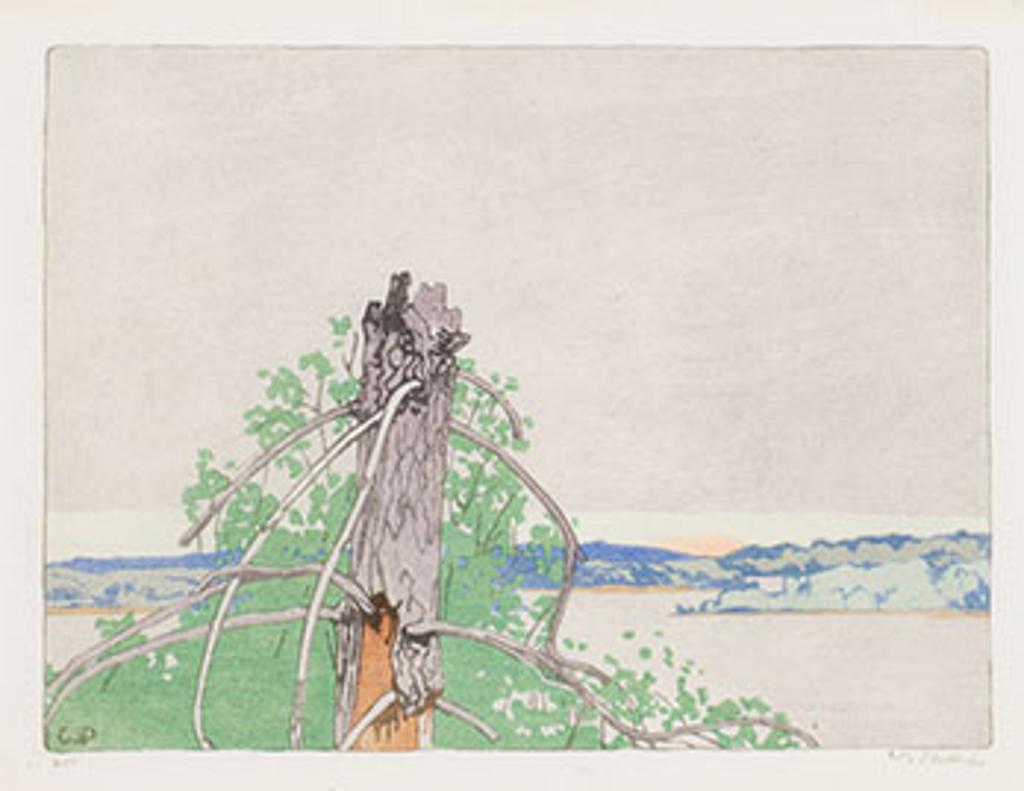 Walter Joseph (W.J.) Phillips (1884-1963) - The Stump