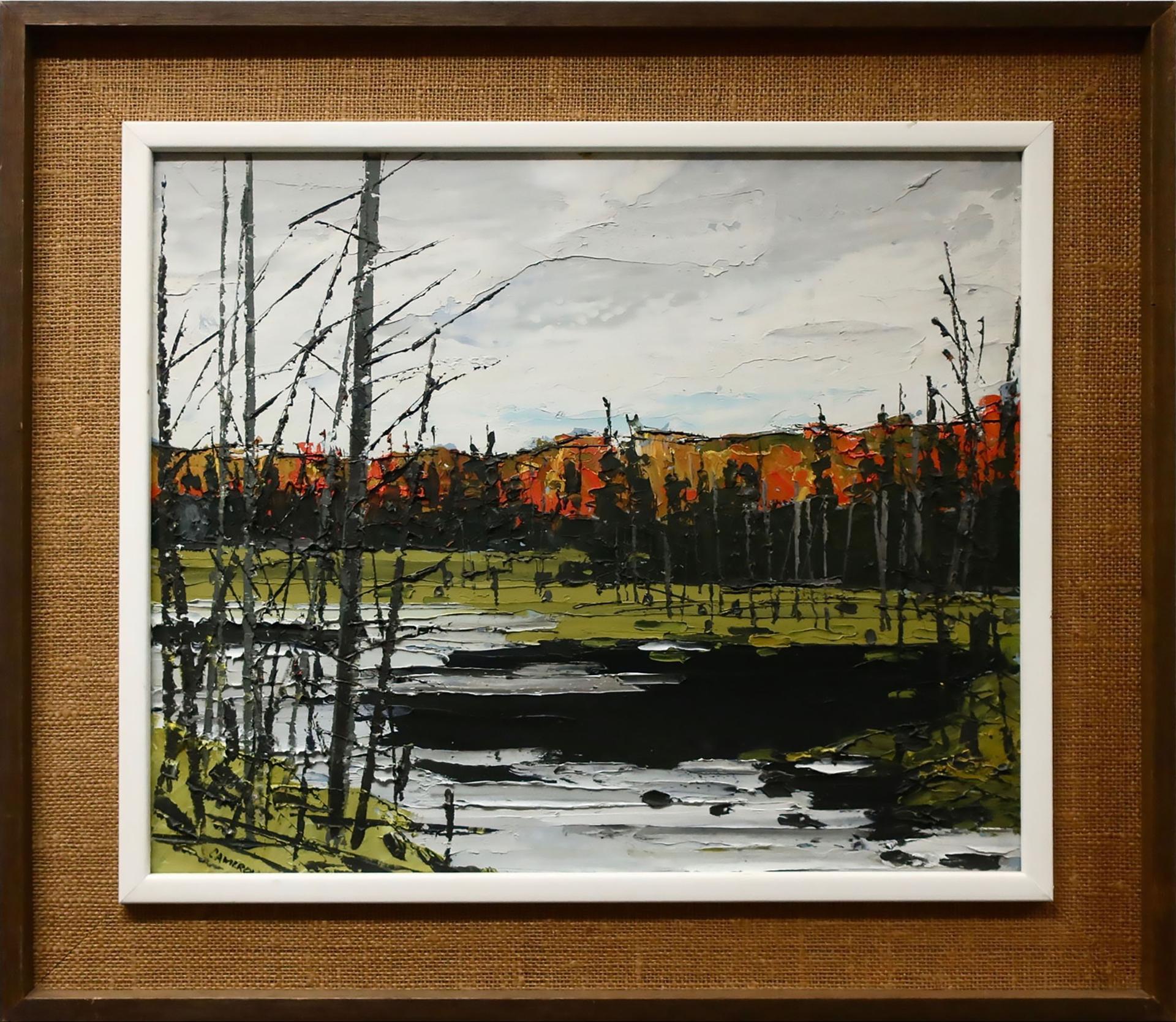 Kenneth Aird Cameron (1919) - Black Swamp, Haliburton, Ont.