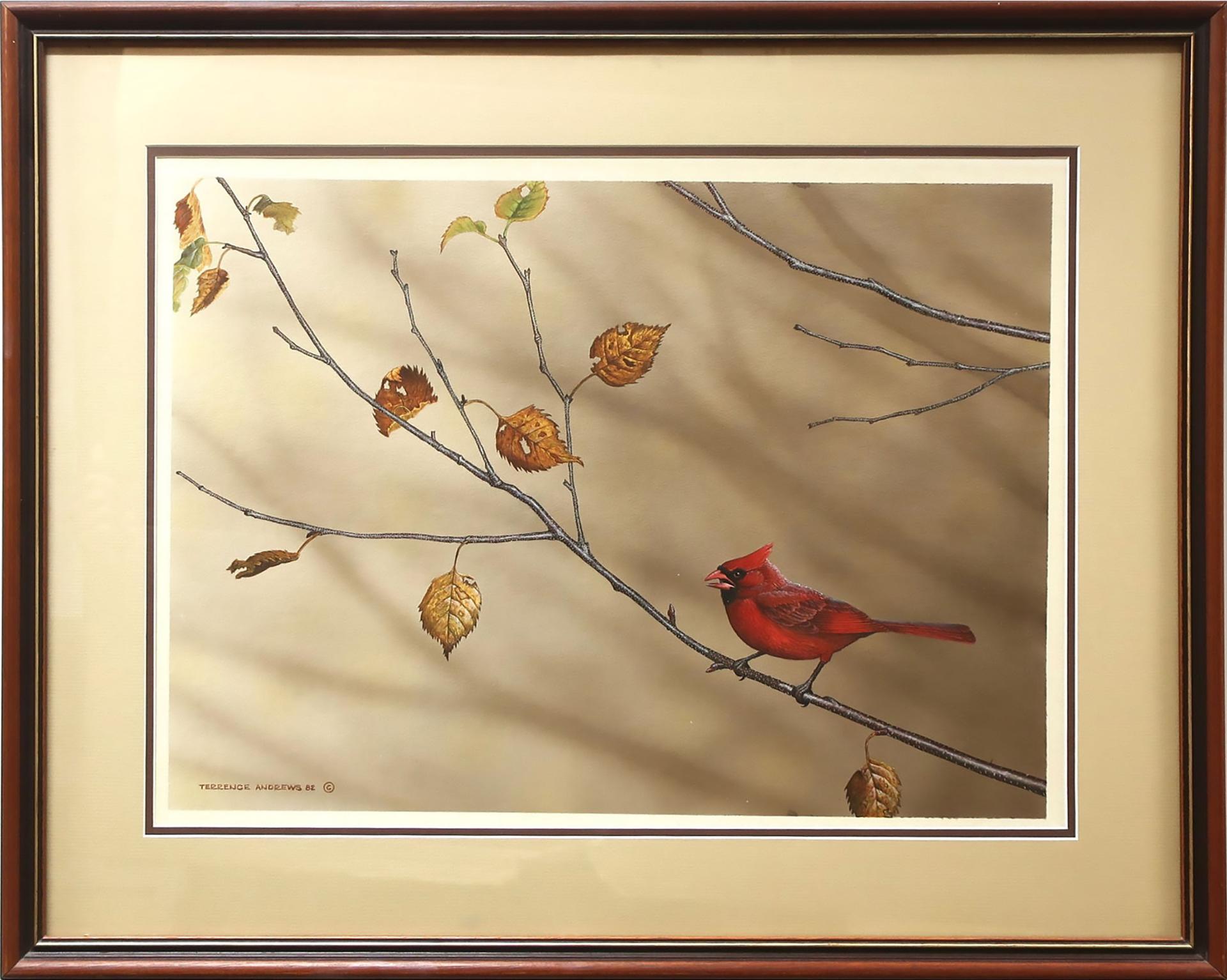 Terrence Andrews - Red Cardinal