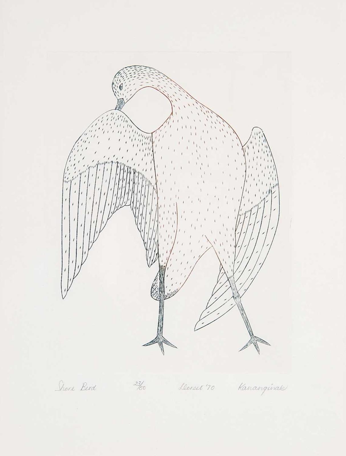 Pootoogook (1887-1958) - Shore Bird #23/50
