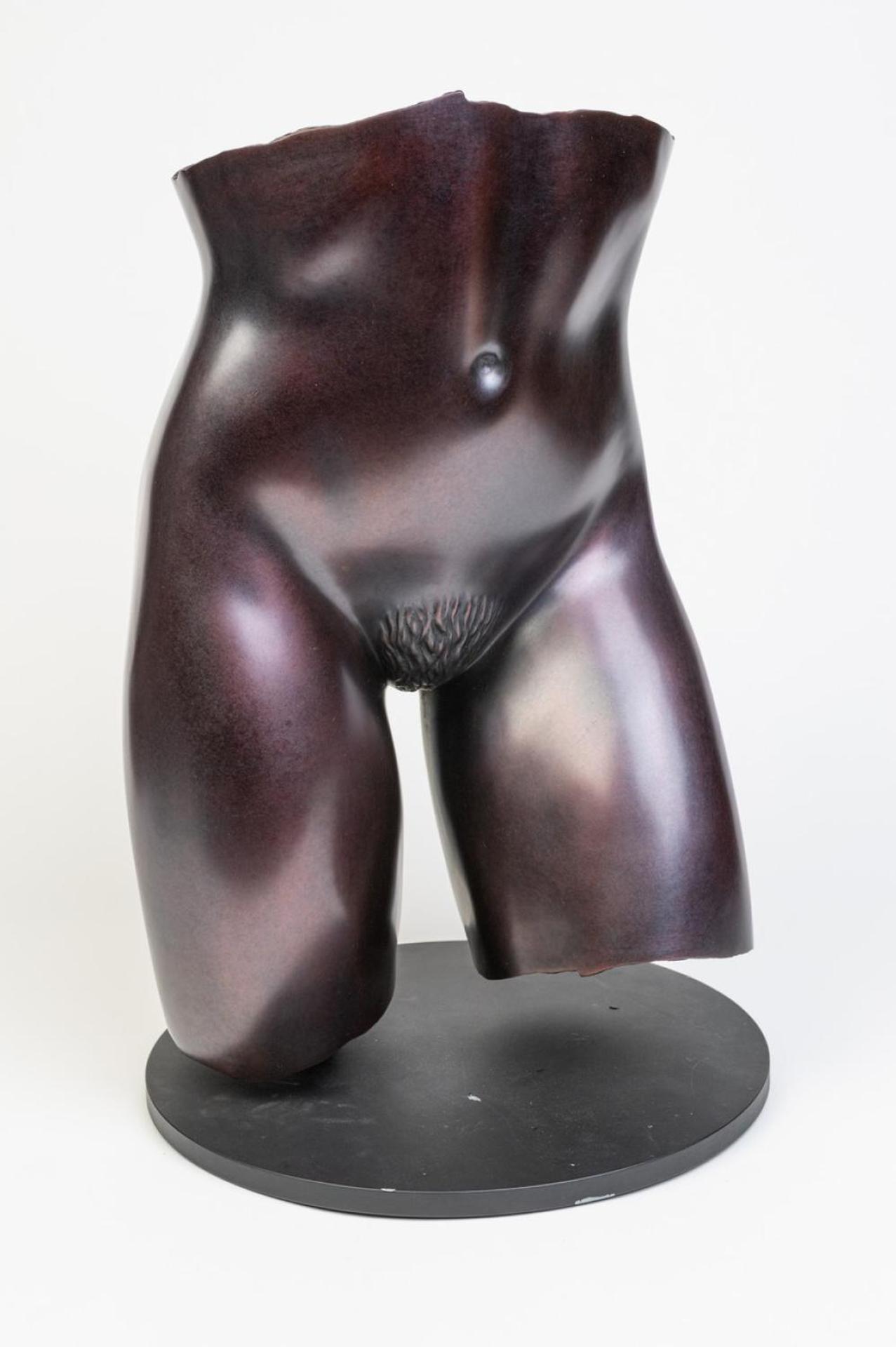 Georg Schmerholz (1949) - Torso