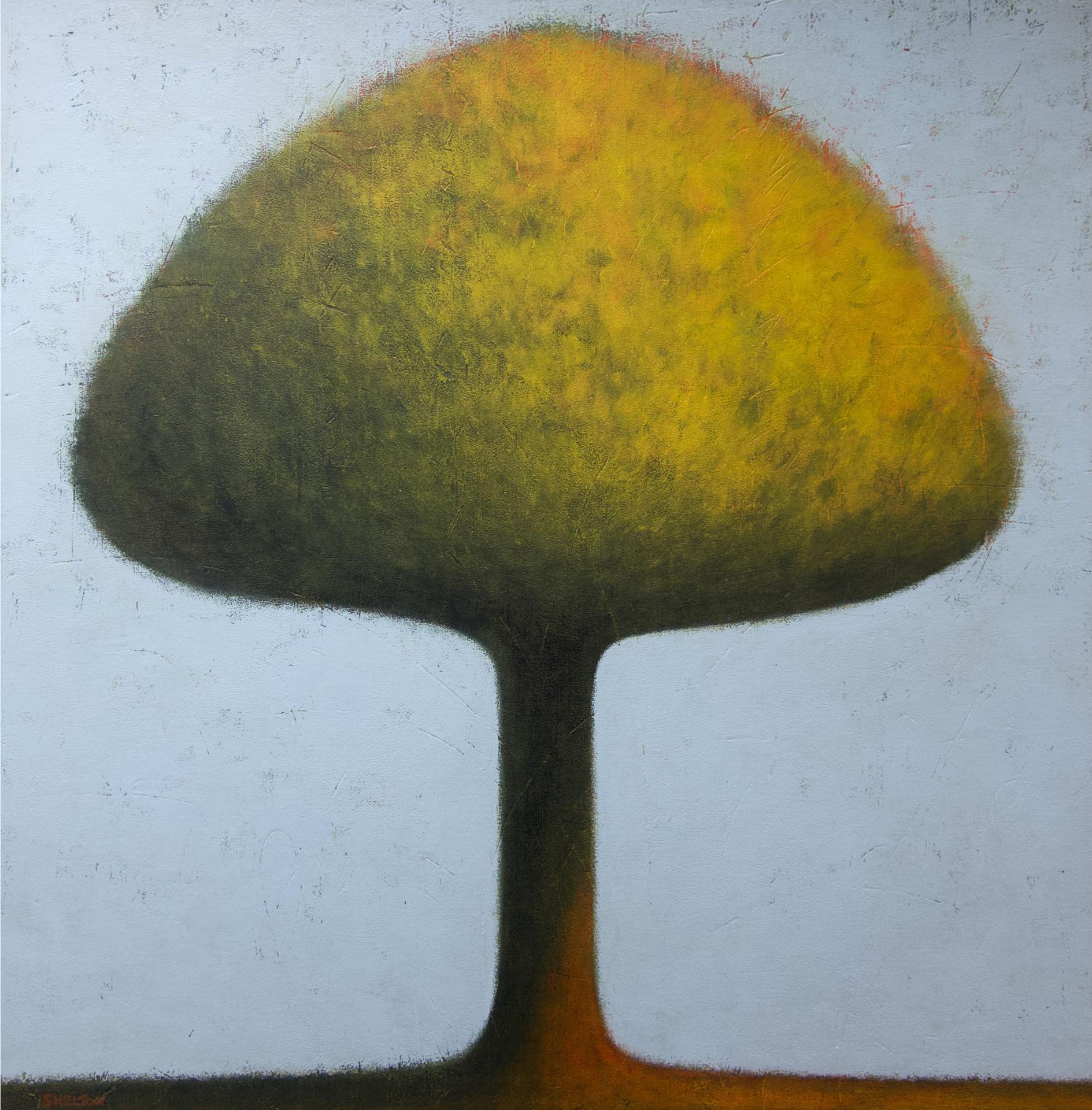 Barry Shelton - Sheltering Tree