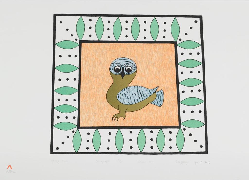 Ningeeuga Oshuitoq (1918-1980) - Young Owl
