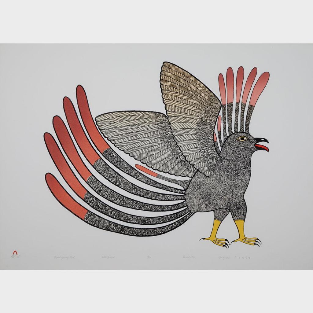 Kenojuak Ashevak (1927-2013) - Proud Young Owl