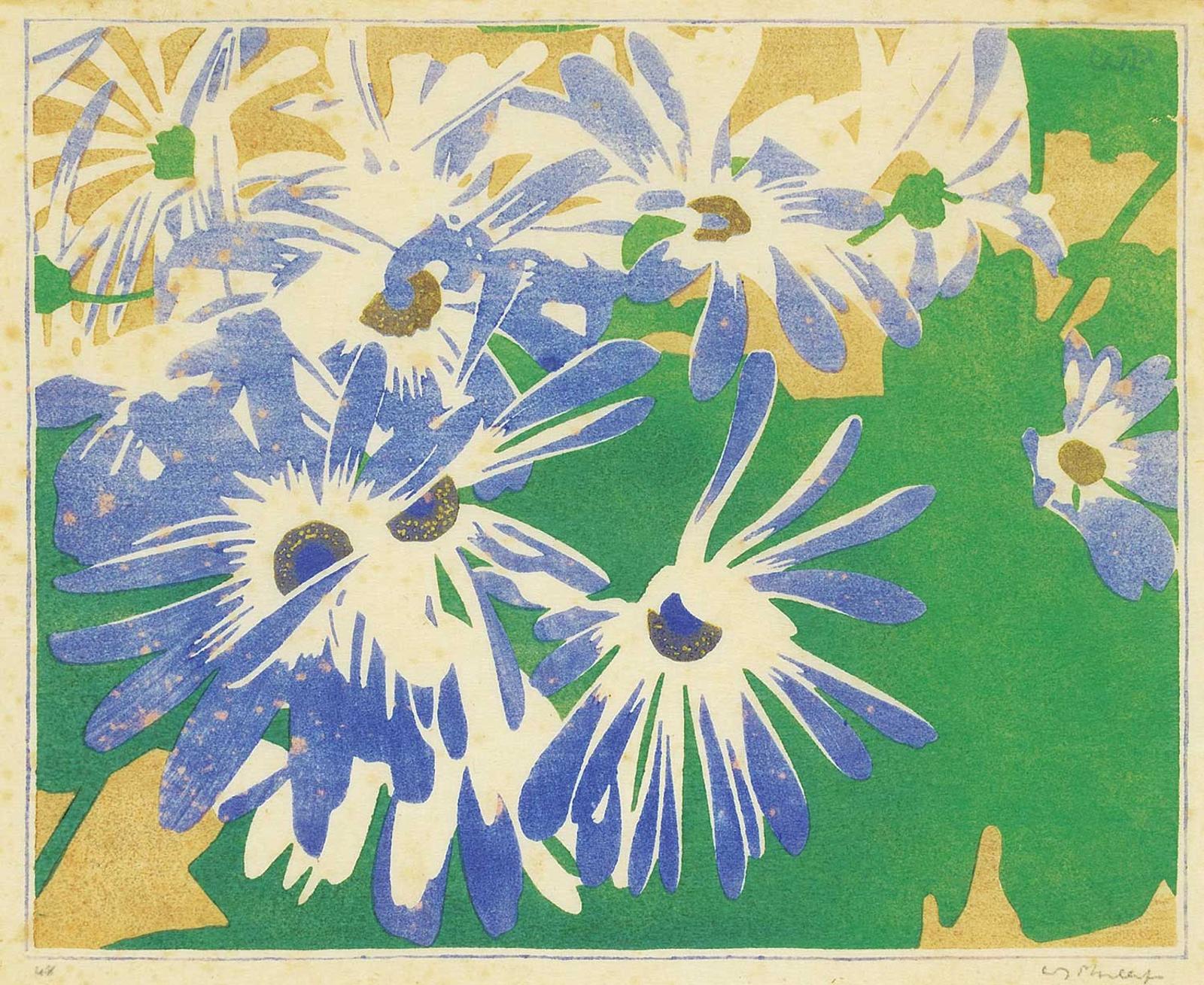 Walter Joseph (W.J.) Phillips (1884-1963) - Cineraria #48