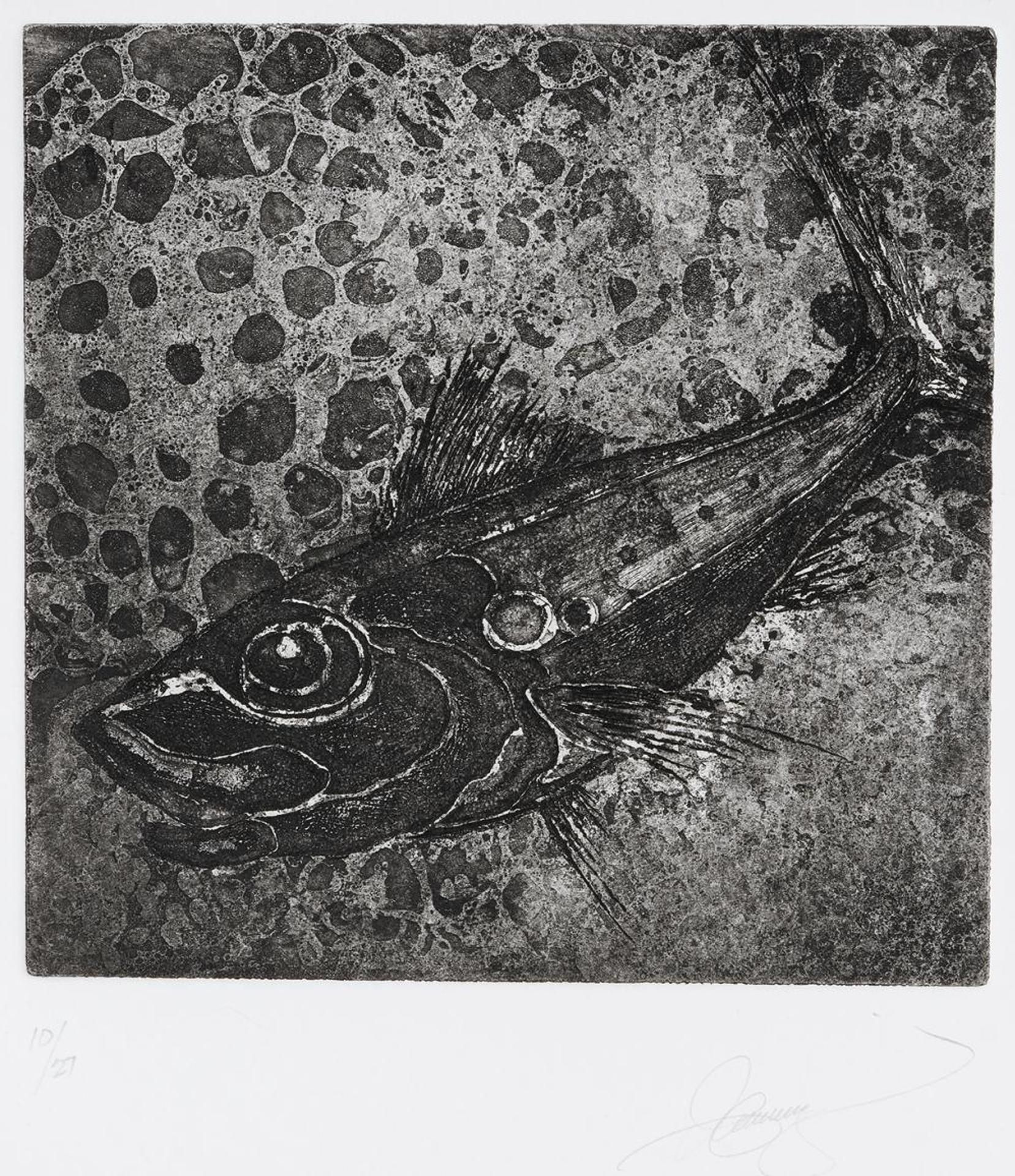 Laina Seery - Untitled