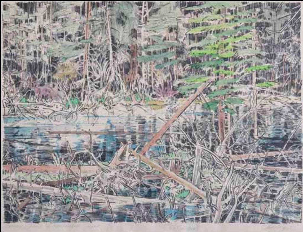 Edward William (Ted) Godwin (1933-2013) - Beaver Pond - Kananaskis Road (02556/2013-1714)