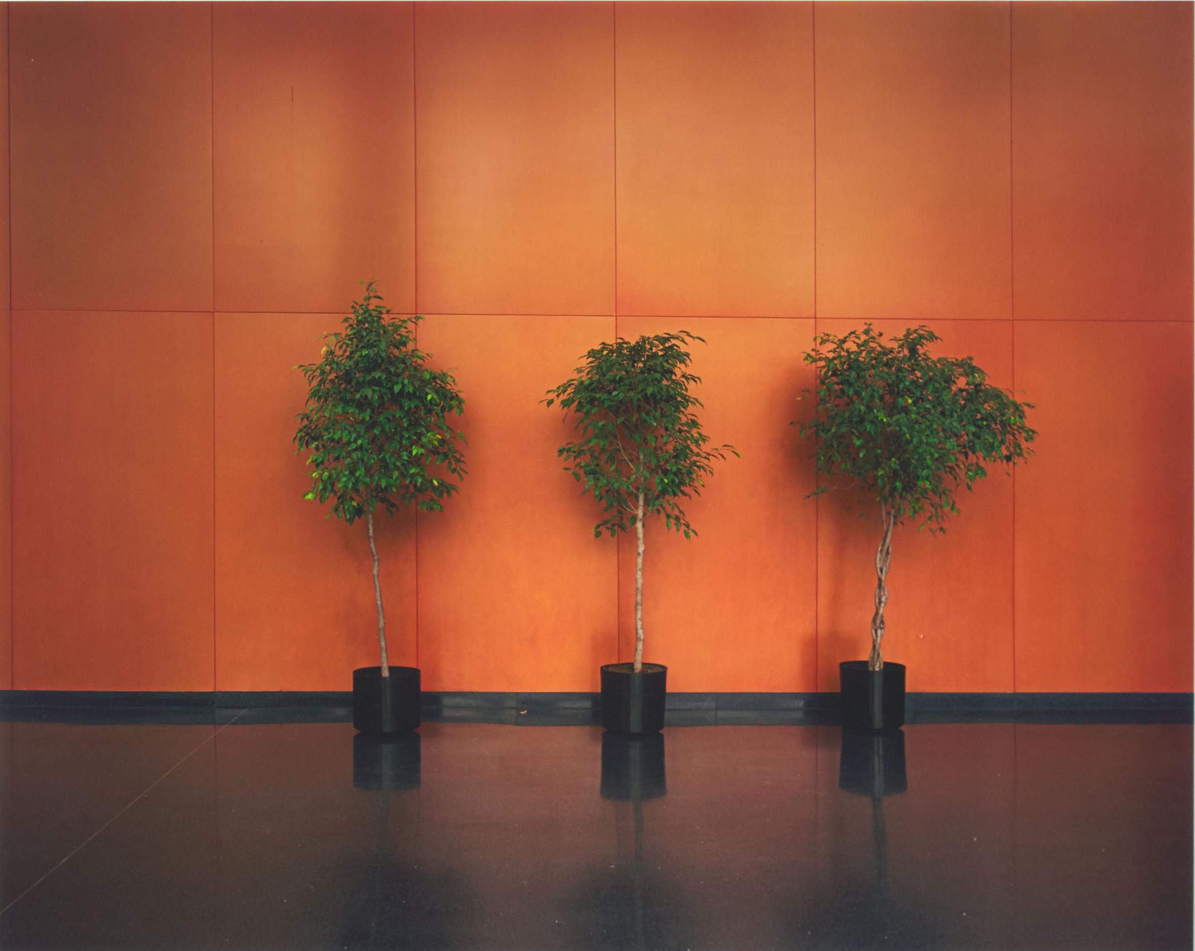 Lynne Cohen (1944-2014) - Untitled (Planters), 2007 (From The Contact Photography Collection)