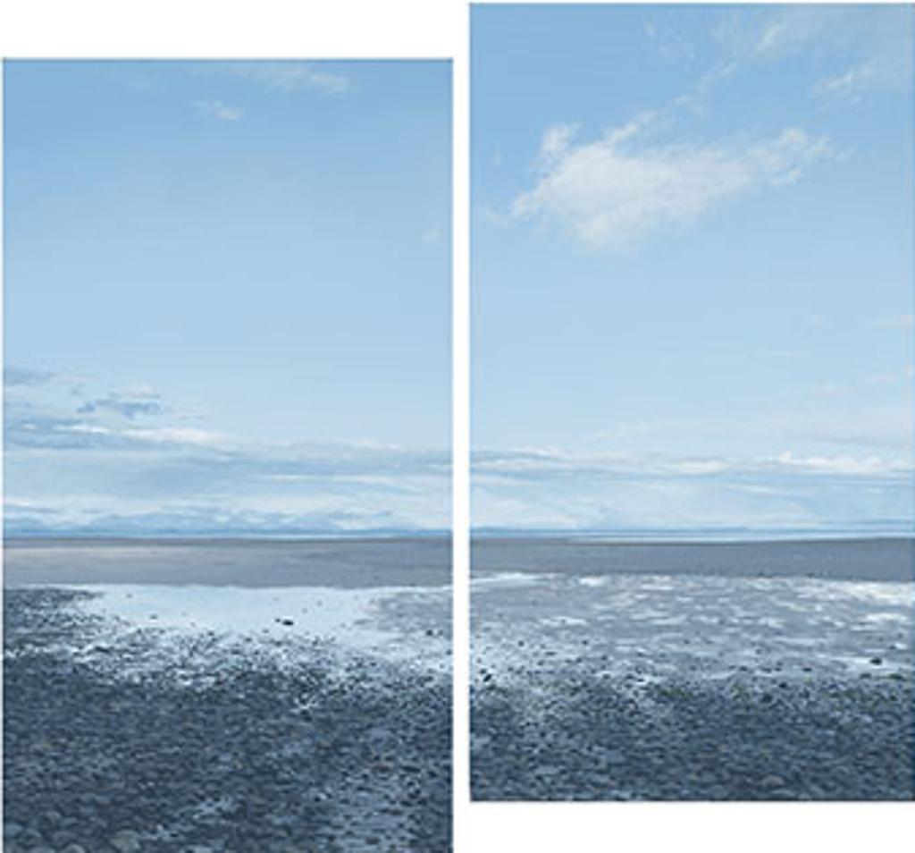 Nathan Birch (1978) - Cloud and Tidal Pool
