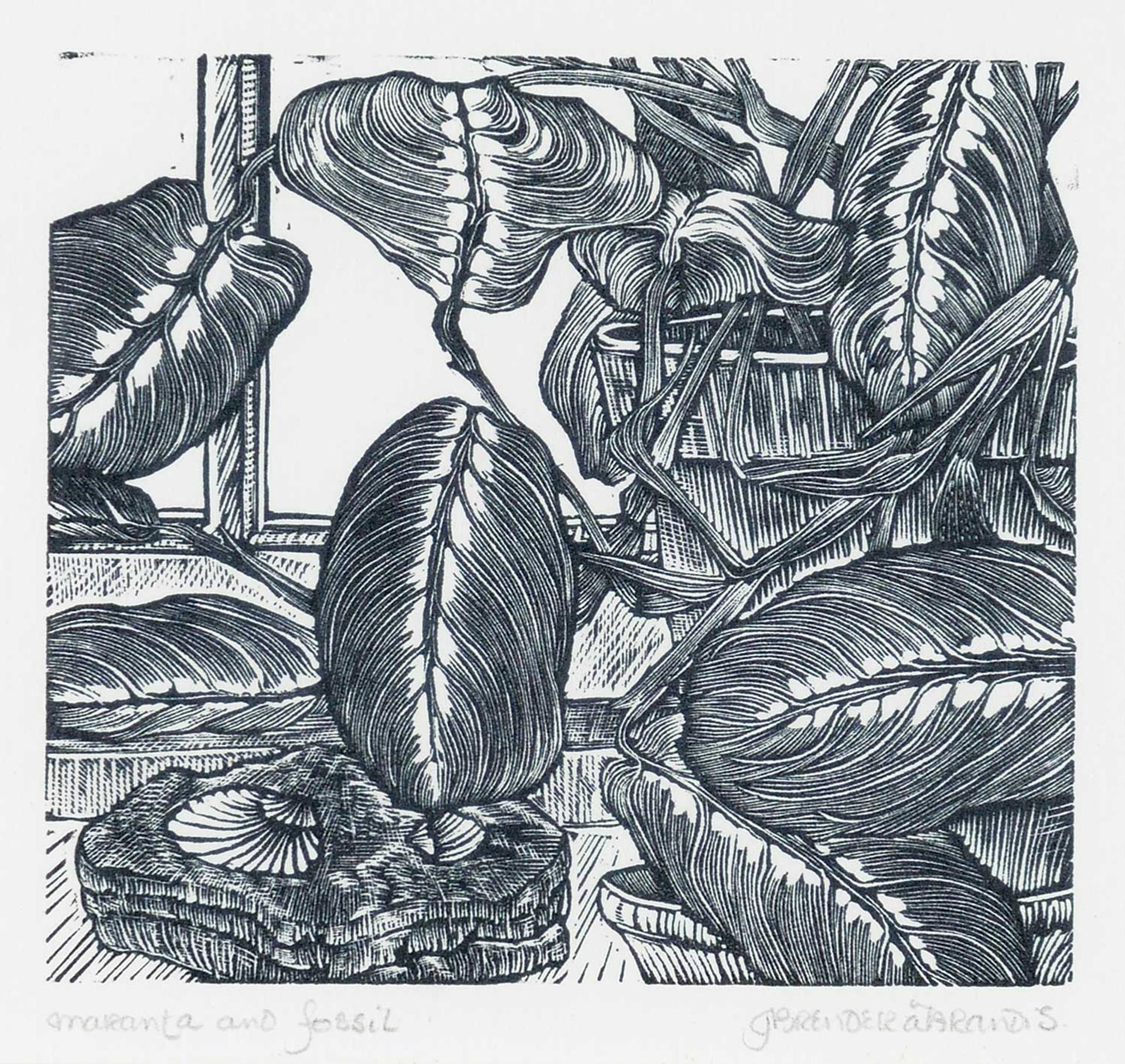Gerard William Brender a Brandis (1942) - Amaranta and Fossil
