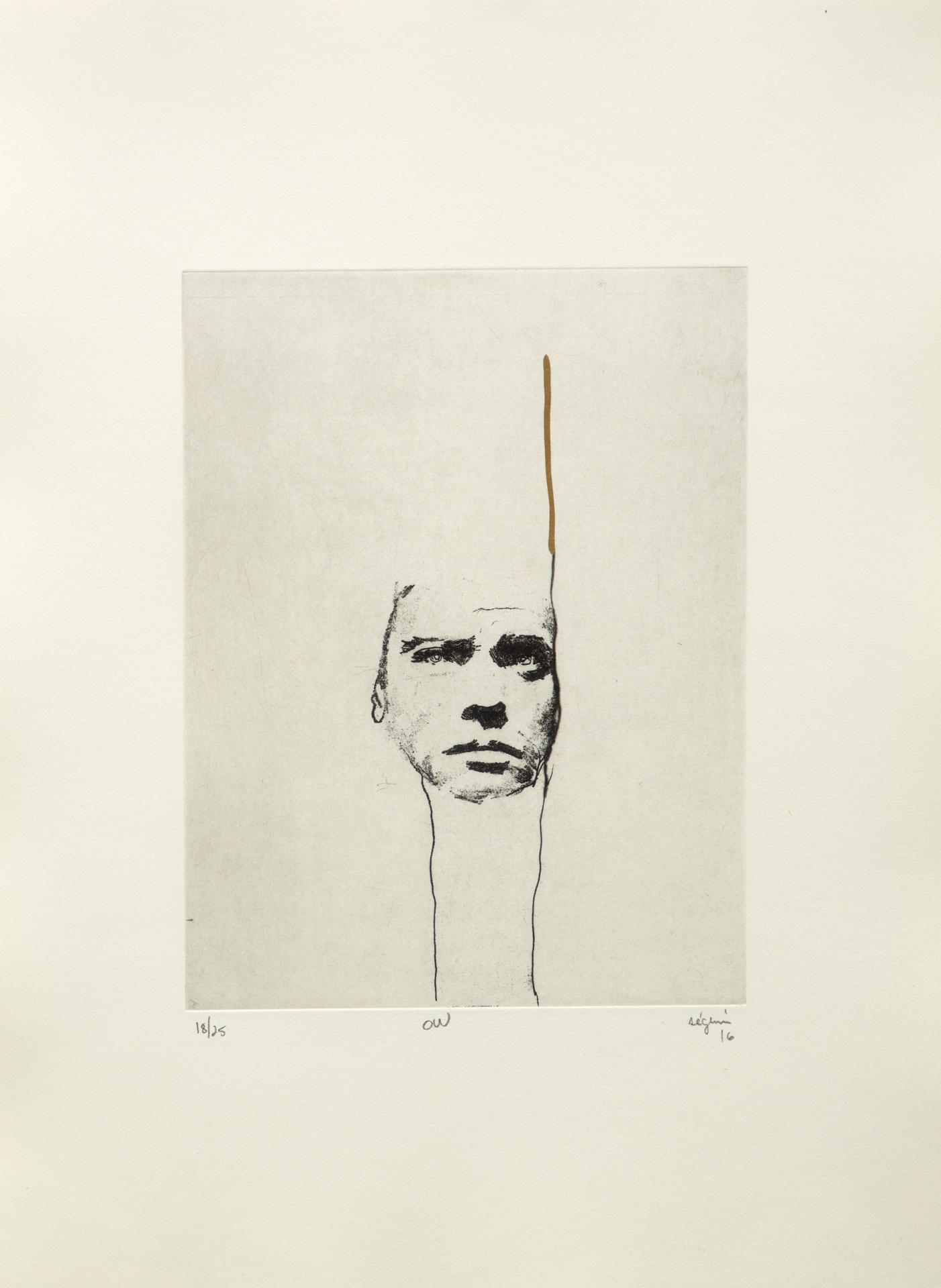 Marc Séguin (1970) - O. W. (nº 12 de la suite / from the series Ottawa), 2016