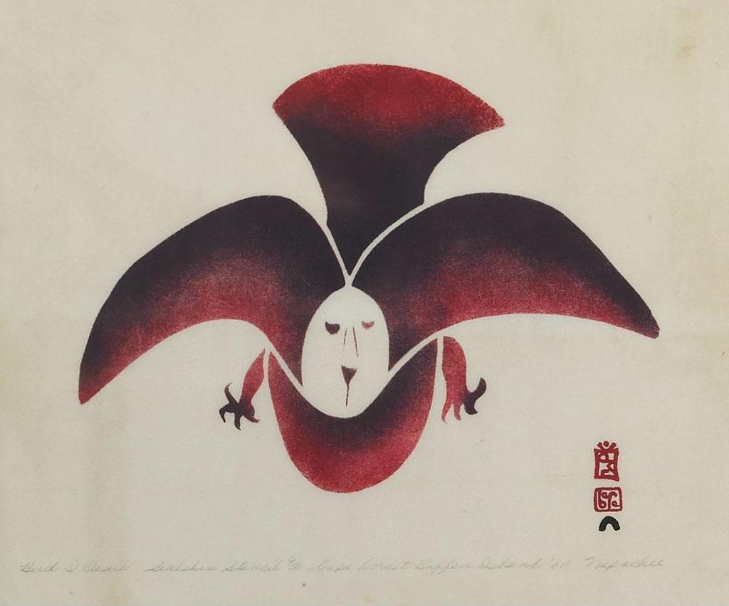 Napatchie Pootoogook (1938-2002) - Bird I Desire