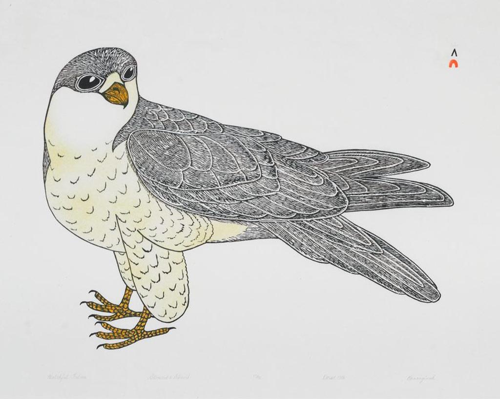 Kananginak Pootoogook (1935-2010) - Watchful Owl