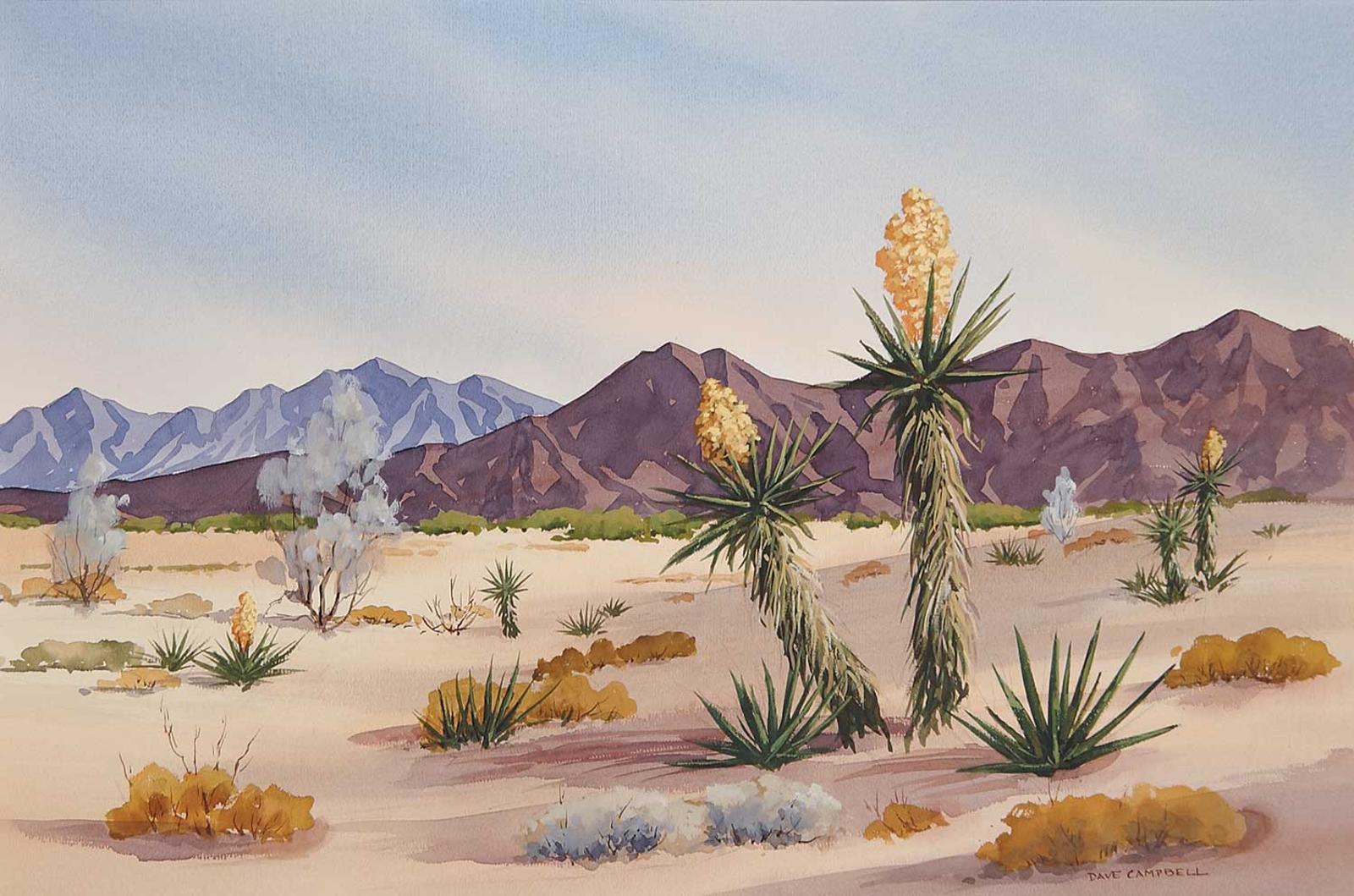 David Campbell - Yuccas