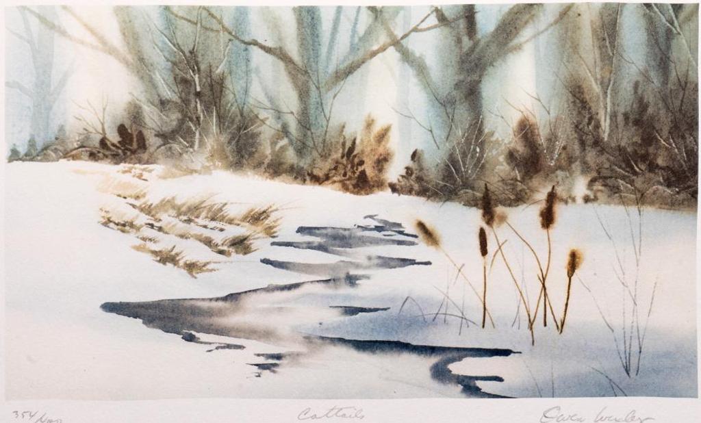 Owen Wexler - Cattails