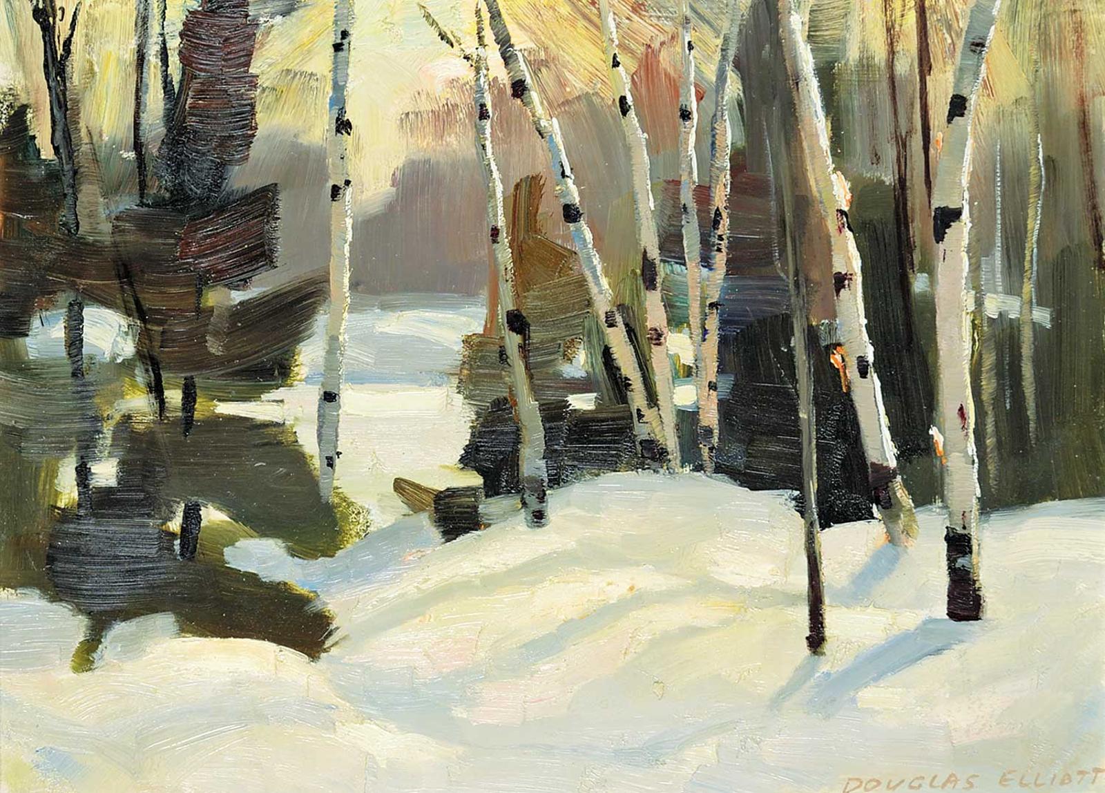 Douglas Ferfguson Elliott (1916-2012) - Late Afternoon Light