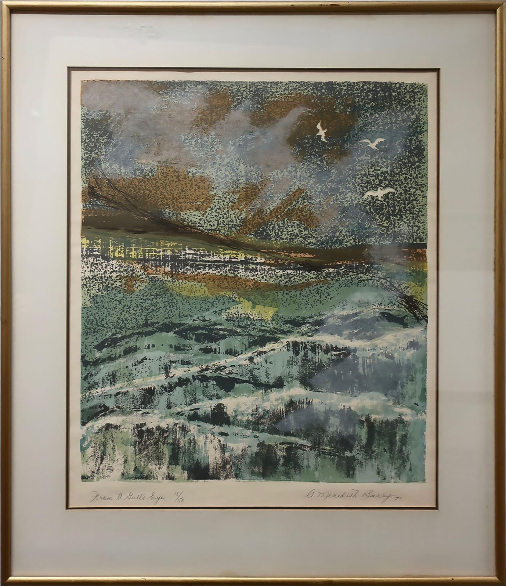 Anne Meredith Barry (1932-2003) - From A Gull's Eye