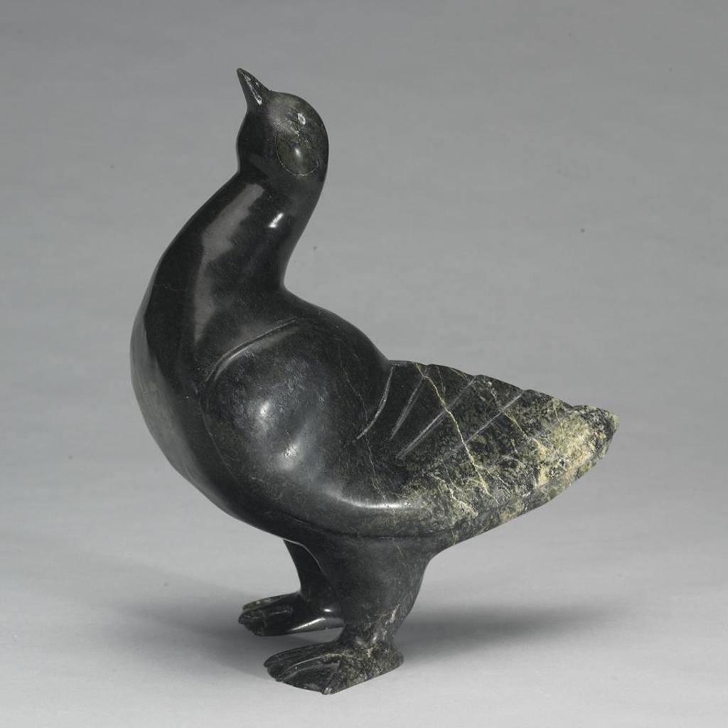 Qiatsuq Shaa (1971) - Bird