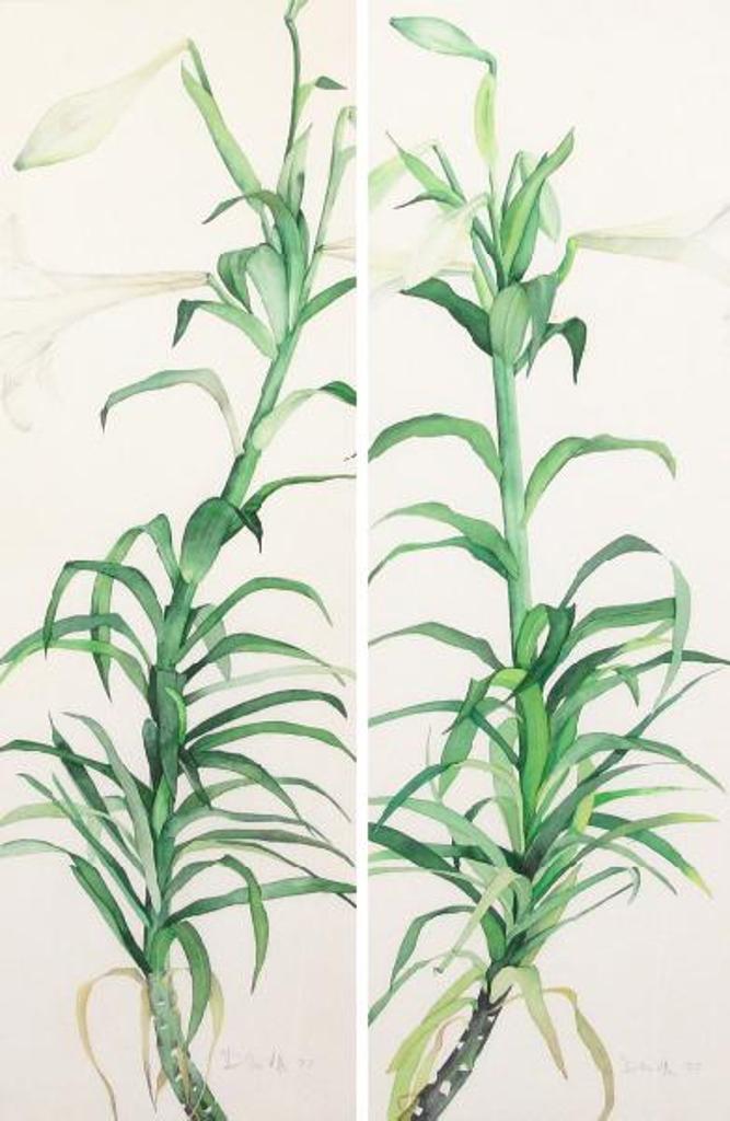 Don McVeigh (1951) - LILIES; 1977