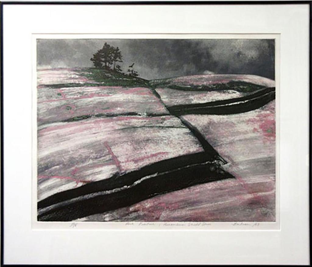 Edward John (Ted) Bartram (1938-2019) - Rock Fracture - Precambrian Shield Series