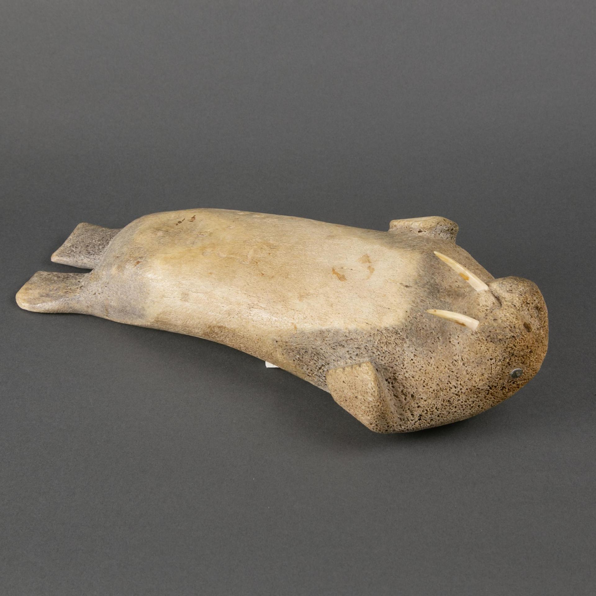 Walter Audla - Sleeping Walrus