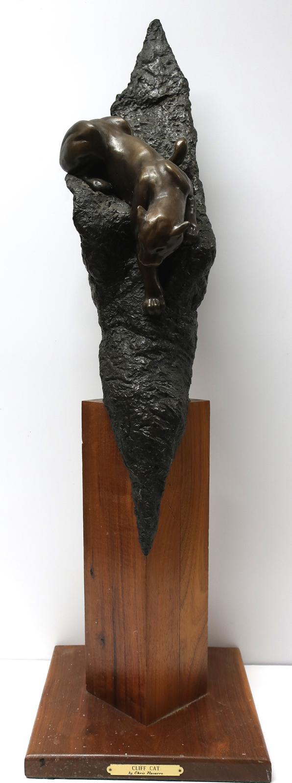 Chris J. Navarro (1956) - Cliff Cat