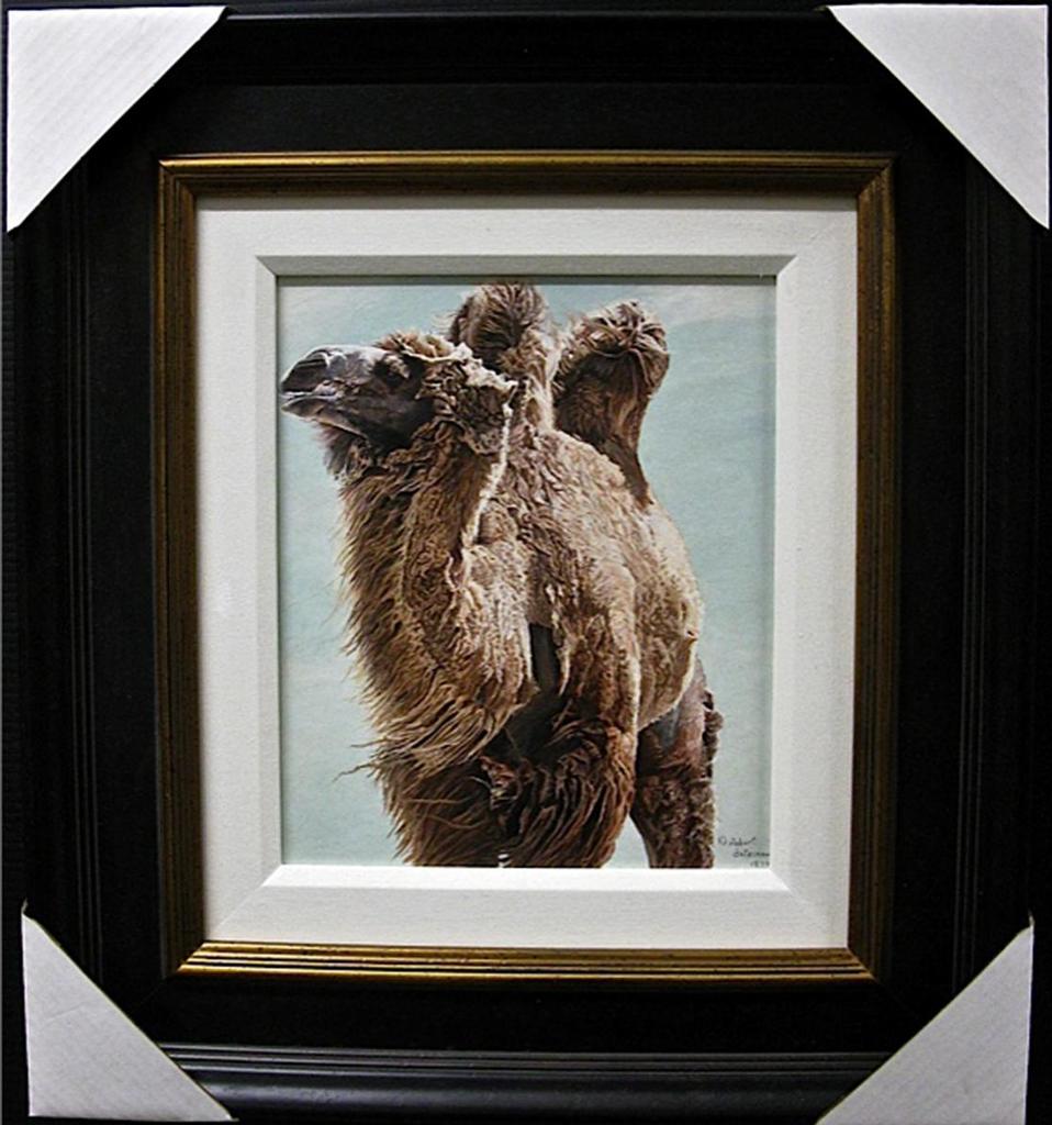 Robert Mclellan Bateman (1930-1922) - Two-Hump Camel