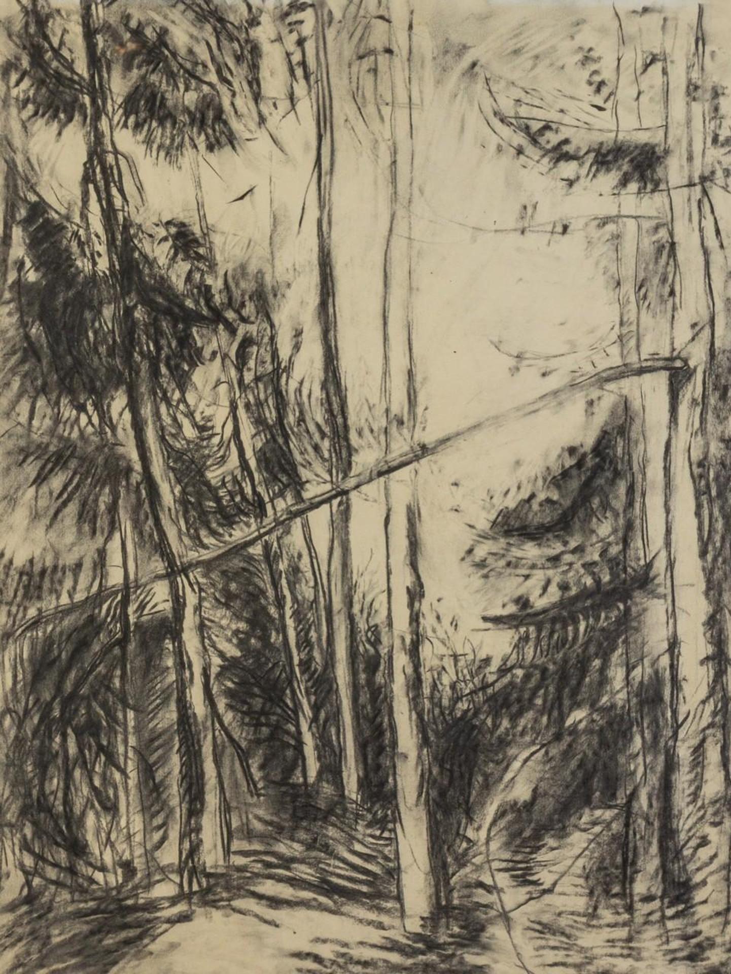 Cameron Ian MacLeod (1958-1983) - Trees
