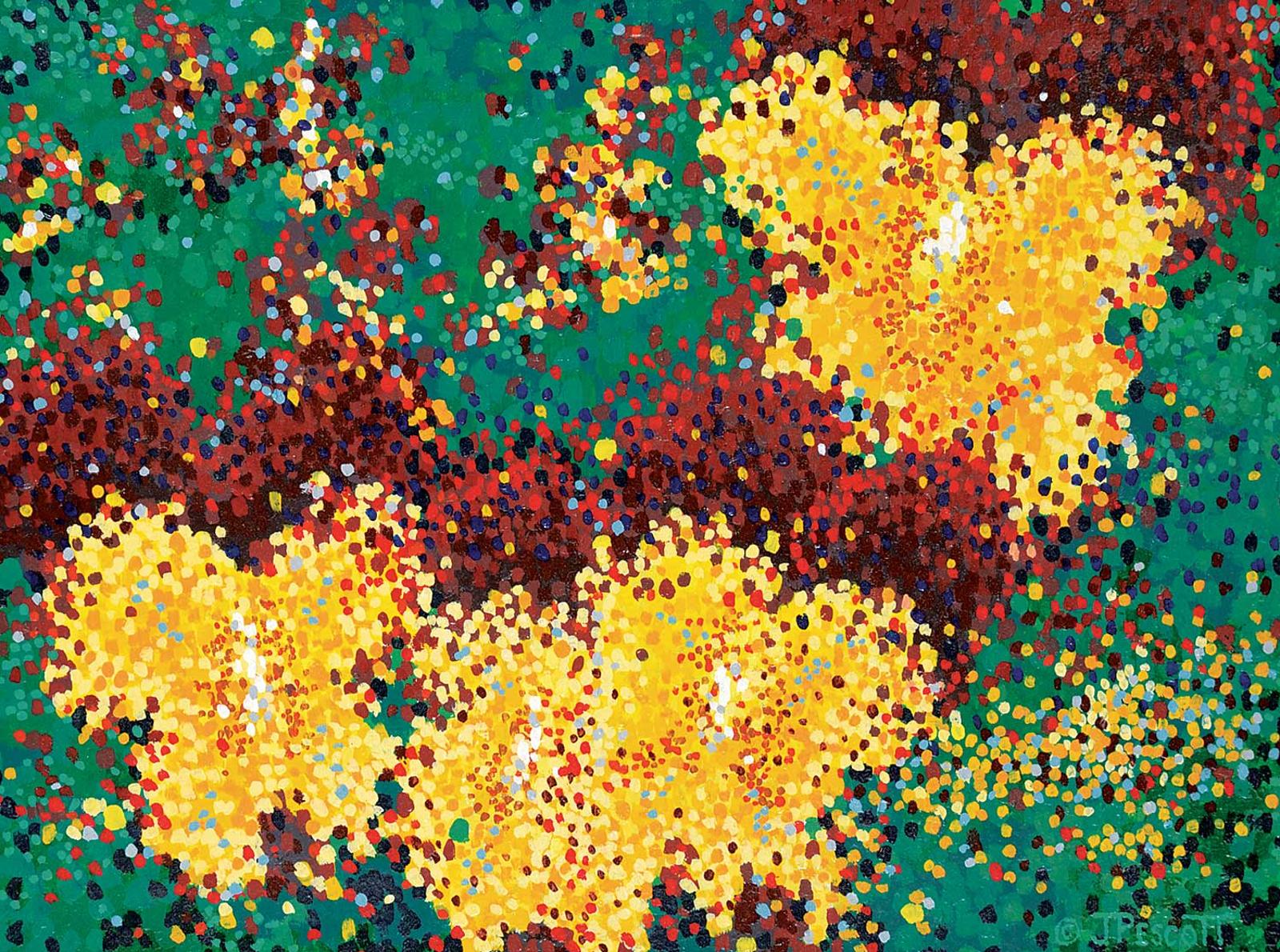 J. Pescott - Pansy Galaxy